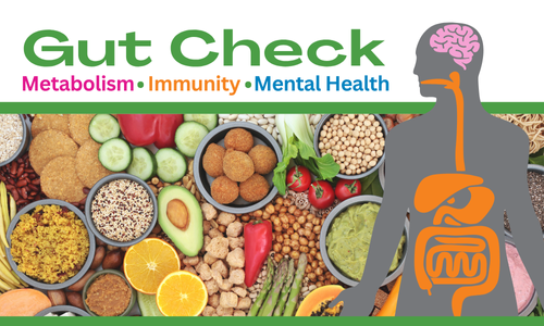 직감 확인 캠페인 로고